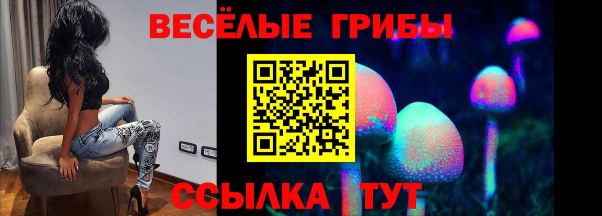 Галлюциногенные грибы прущие грибы Комсомольск-на-Амуре